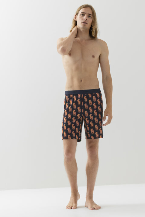 Shorts Serie RE:THINK Tiger Front View | mey®