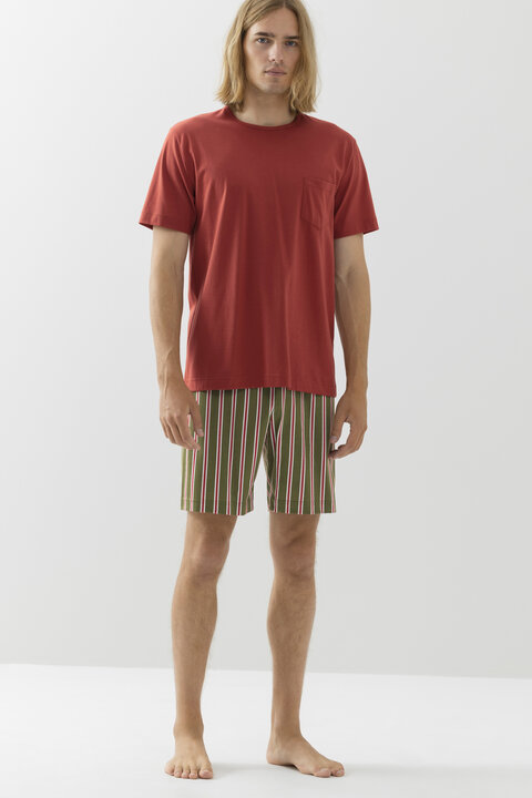 Pyjamas Serie Stripes Front View | mey®