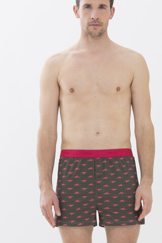 Boxer shorts Khaki Serie RE:THINK T-REX Front View | mey®