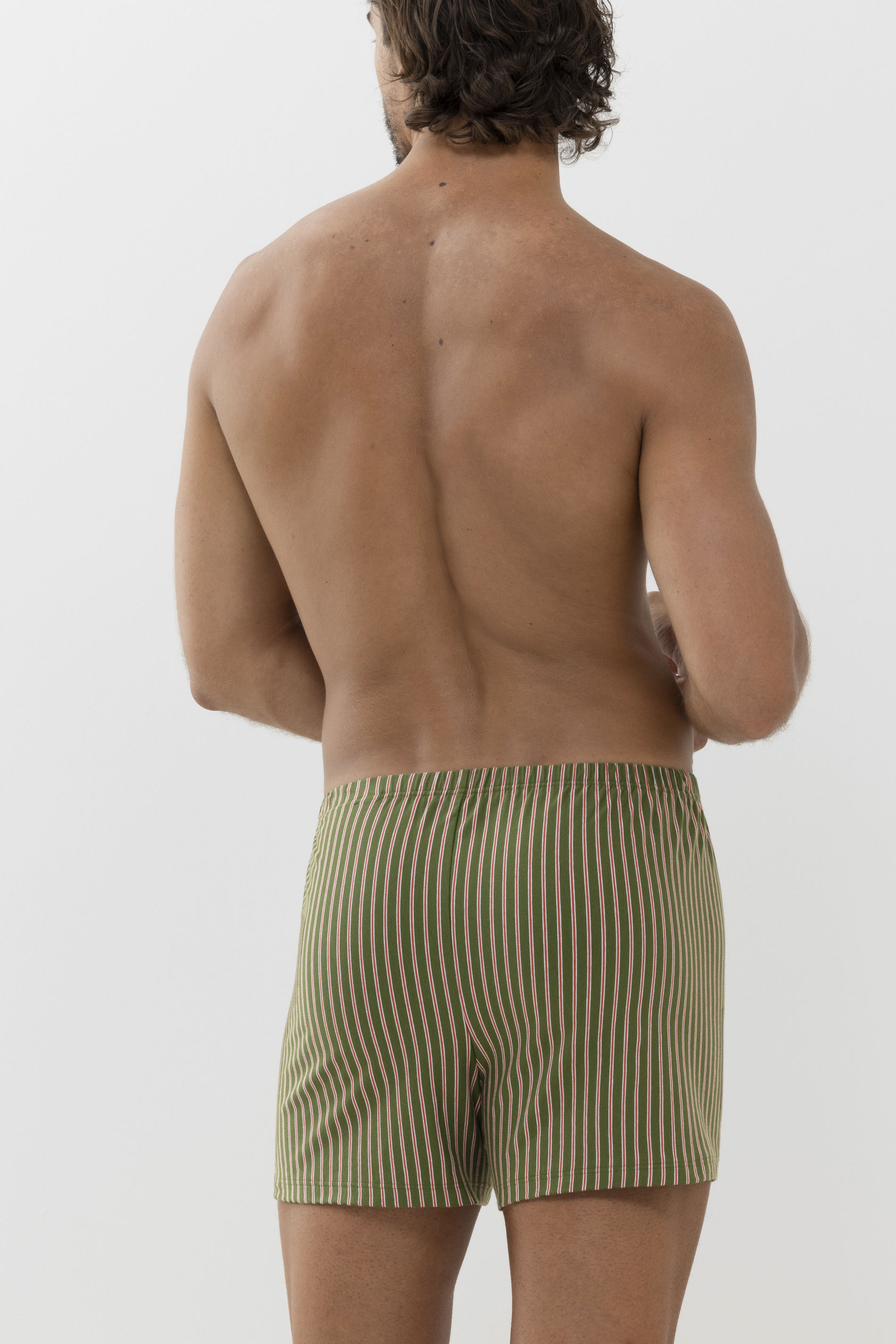 Boxer shorts Serie Stripes Rear View | mey®