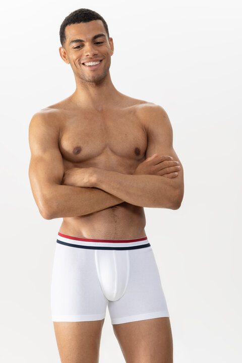 Underpants Mens Underwear Summer Men Briefs Male Large Size L 4XL