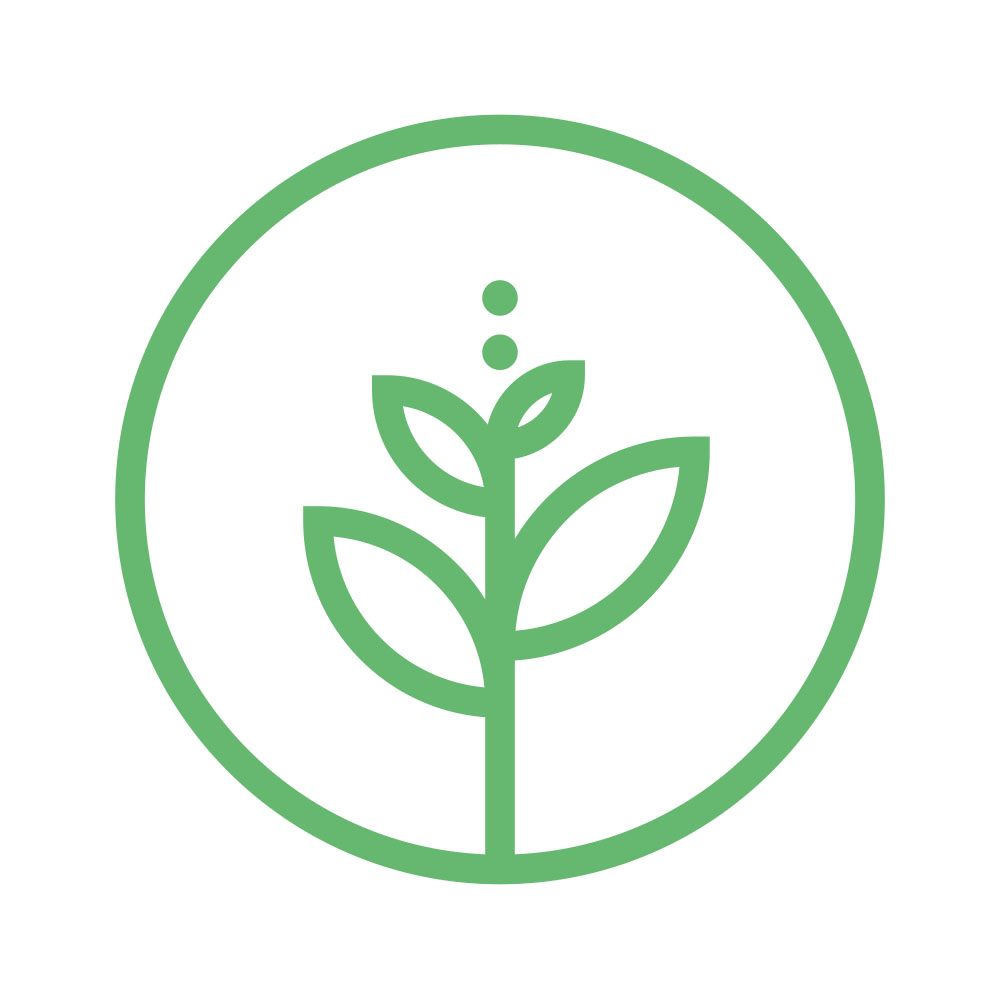 The Grüne Knopf icon “Ecologically” | mey®