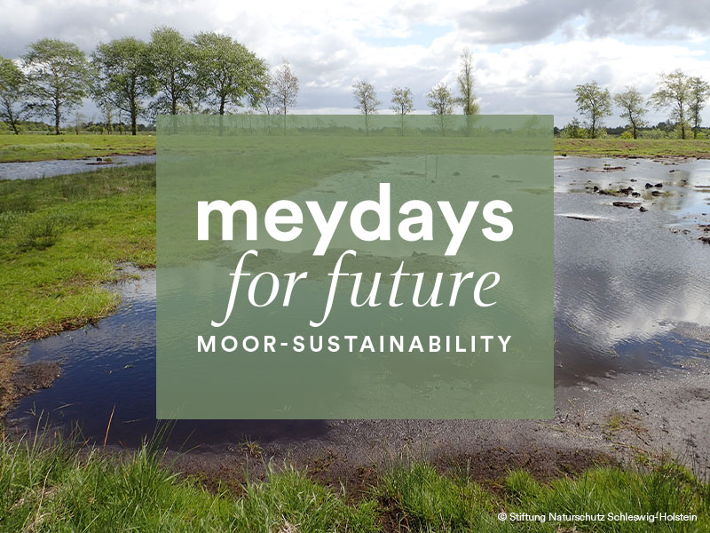 meydays for future: moerasgebieden renatureren | mey®