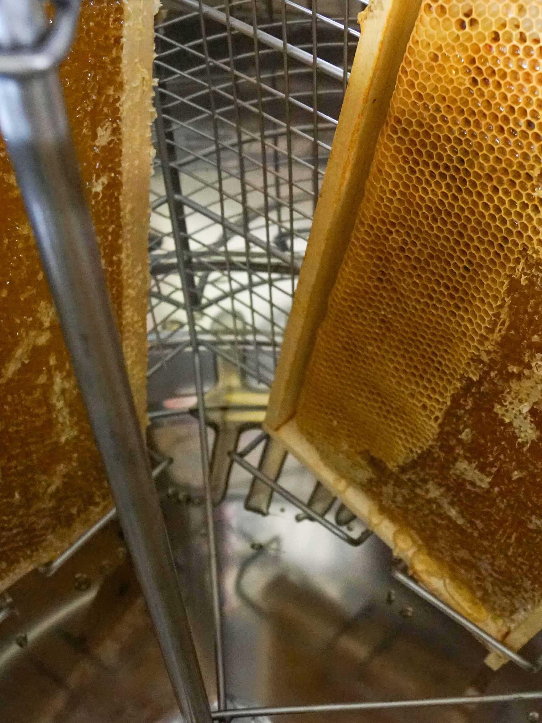 Die Honigwaben werden senkrecht in die Schleuder gestellt | mey®
