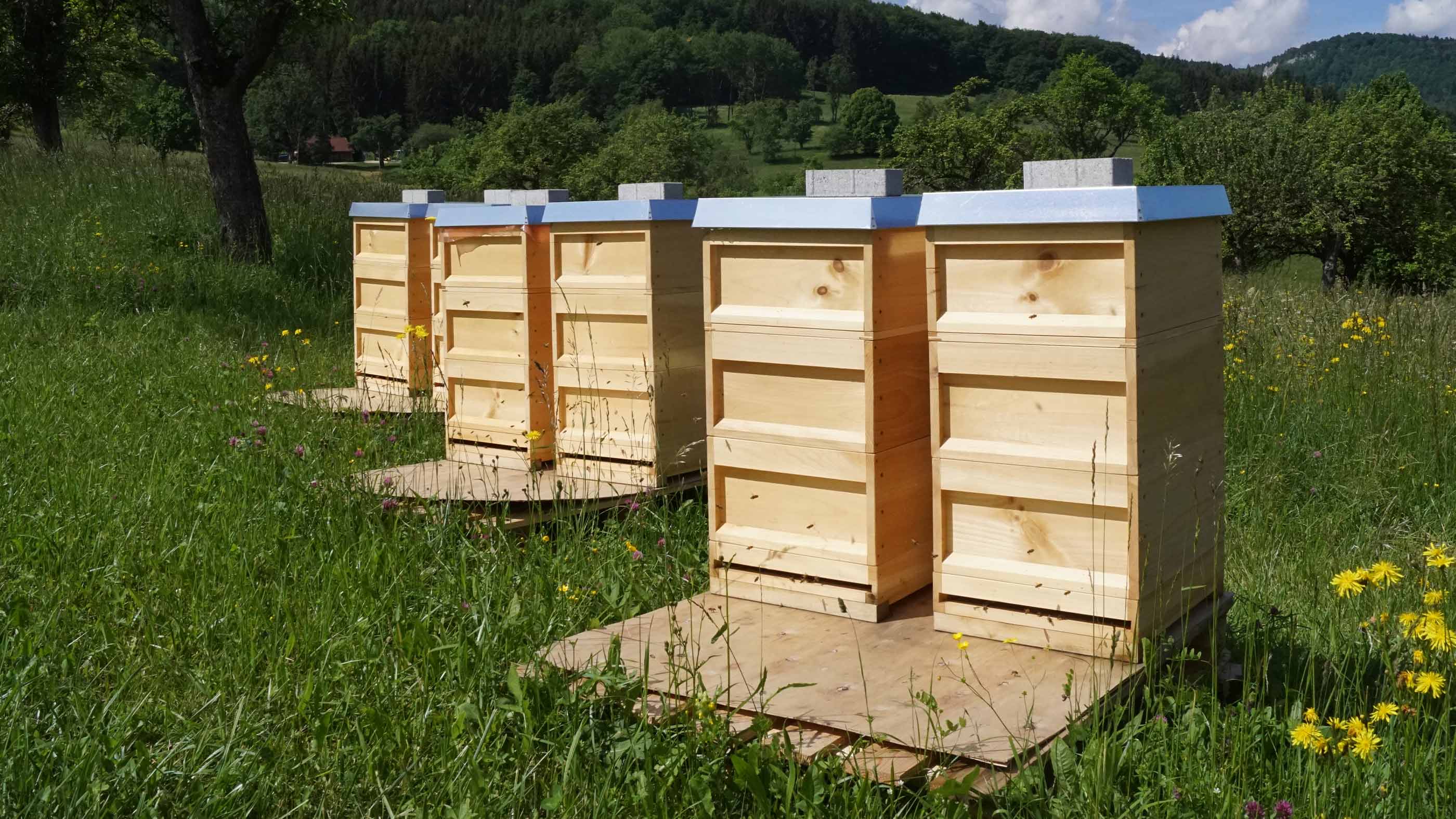 Die sechs Bienenstöcke von mey sind paarweise auf der Wiese in Lautlingen, Deutschland aufgereiht | mey®