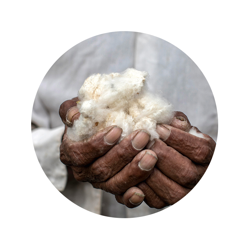 Baumwollfasern in den Händen eines peruanischen Baumwollpflückers | mey®