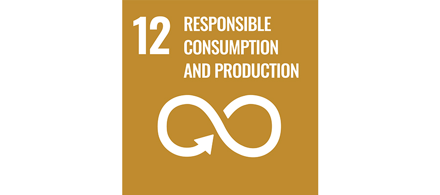 SDG No 12 responsible consumption and production | mey®