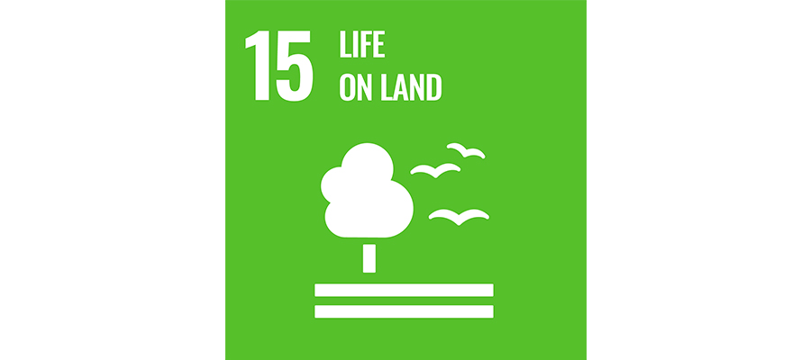 SDG No 15 life on land | mey®