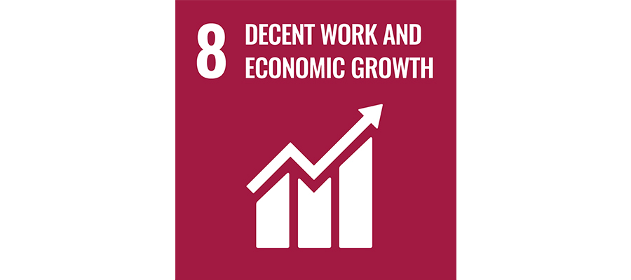 SDG No 8 decent work an economic growth | mey®