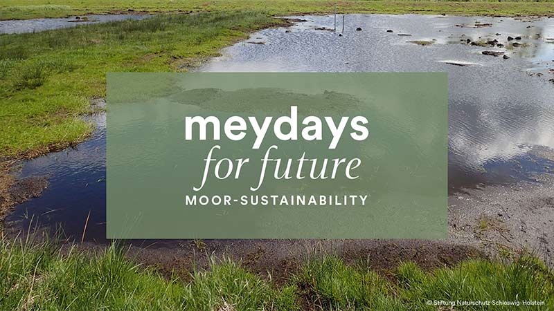 Our Black Weekend campaign: Moorland restoration | mey®