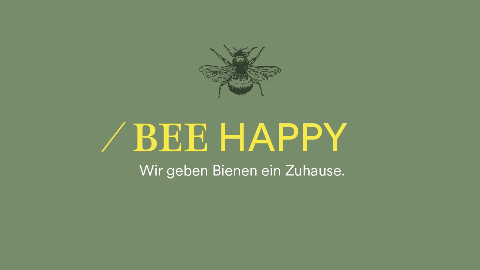 Der Weltbienentag bei mey - Retten Sie mit uns die Bienen | mey®