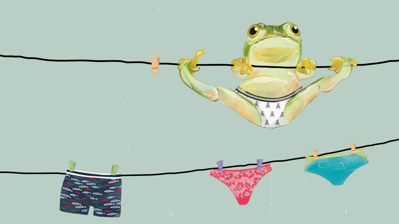 Save The Frogs Day | mey®